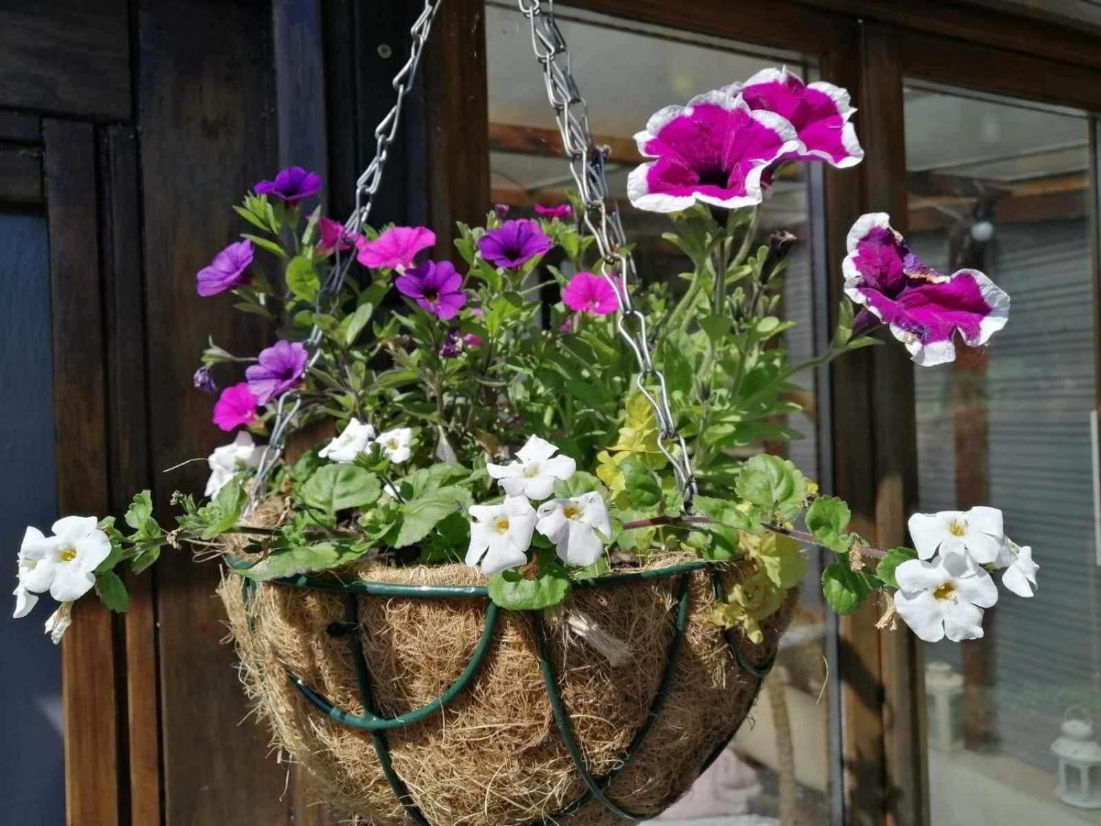 Normand - Vire Calvados Relaxing Rural Retreat * Le Reculey